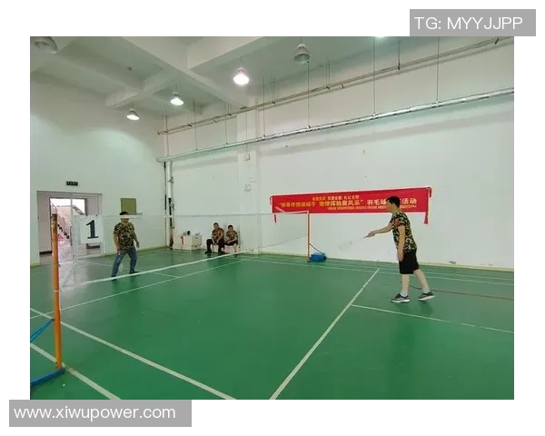 南京羽毛球队的崛起与发展聚焦羽毛球运动的力量与激情