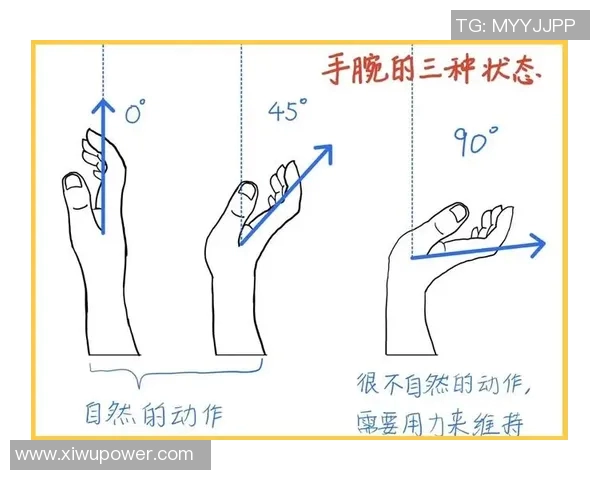 科学网球力量训练全攻略提升你的击球力量与稳定性