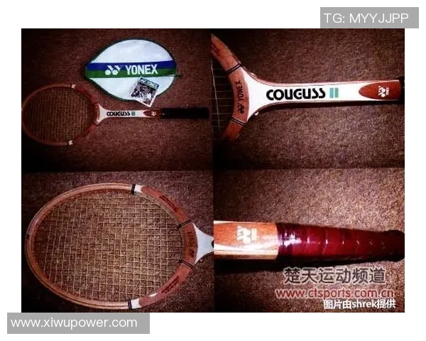 羽毛球深度探讨：揭秘杭州羽毛球队的转型与发展之路