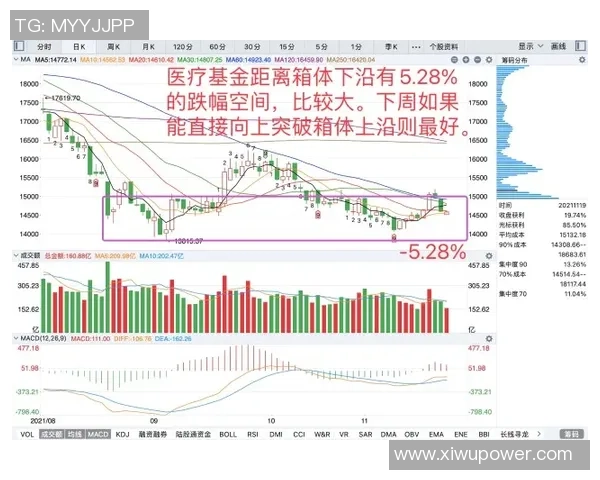 南京与杭州排球队赛后复盘分析灵活性表现与战术调整的关键因素 南京与杭州排球队赛后复盘分析灵活性表现与战术调整的关键因素