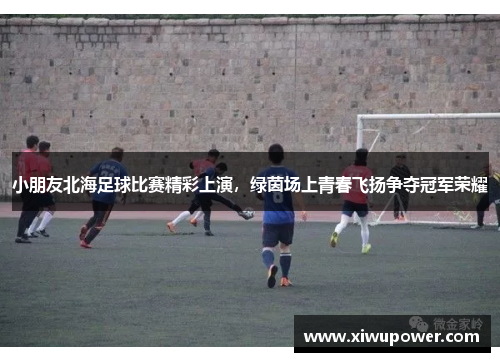小朋友北海足球比赛精彩上演，绿茵场上青春飞扬争夺冠军荣耀