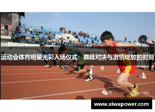 运动会体育明星光彩入场仪式：巅峰对决与激情绽放的时刻