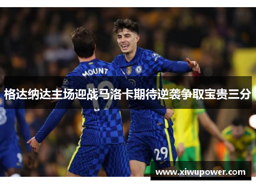 格达纳达主场迎战马洛卡期待逆袭争取宝贵三分